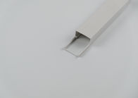 Matt Surface Type Plastic Wire Trunking Custom Service Available